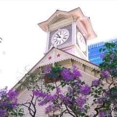 登別・富良野・旭山動物園 貸切チャーター車観光ツアー(北海道・札幌)