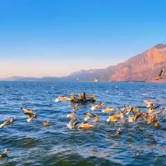 Kunming Classic 2-Day Tour by Private Charter Car