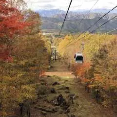 日本栃木賞楓一日遊|Hunter Mountain獵人山紅葉纜車・紅葉谷大吊橋・鹽原溫泉散策體驗|銀座出發