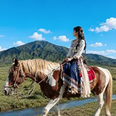 ทริปเที่ยวเกาะคิวชู คุมาโมโตะ แบบไปเช้าเย็นกลับ | Kusasenri, รูปปั้นช็อปเปอร์จากวันพีซ, สวนซุยเซ็นจิ โจจูเอ็น, ปราสาทคุมาโมโตะ | ออกเดินทางจากฮากาตะ