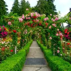 2-Day Tour of Vancouver and Victoria, Canada | Butchart Gardens / Marahat Skywalk / Cimenas
