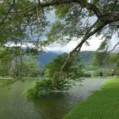 Penang Day Trip : Taiping & Traditional Crafts with Hotel Pick up & Drop off Service