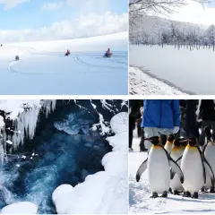 【Tour tham quan Hokkaido trong ngày thuê xe riêng trọn gói】Lịch trình tùy chỉnh|Furano & Asahikawa & Hồ Toya & Noboribetsu & Sapporo (Chuyến đi khứ hồi Sapporo)