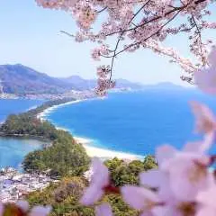 [Group tour available for 1 person] Kansai, Japan | Kyoto's stunning scenic spots day trip | Amanohashidate, Ine Funaya, Chion-ji Temple | Shared ride from Osaka/Kyoto