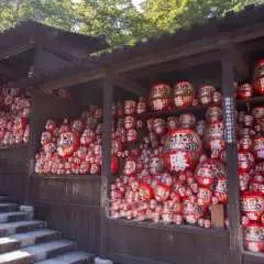 [Có tour nhóm cho 1 người] Kansai, Nhật Bản | Chuyến đi trong ngày tham quan các thắng cảnh tuyệt đẹp của Kyoto | Amanohashidate, Ine Funaya, Chùa Chion-ji | Đi chung xe từ Osaka/Kyoto