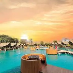 Bangkok, Thailand | [Restaurant Reservation] Bubble in the Forest Cafe (Little Maldives Cafe) | Reservation Service