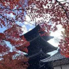 尊貴定制-無憂出行【大阪-京都-奈良包車一日遊】奈良萌鹿、東大寺、嵐山、伏見稻荷大社、金閣寺、奈良公園|關西和風古韻私人團專署|悠游古都|盡覽經典