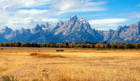 [Small Group] Yellowstone National Park 7D6N from Los Angeles|Grand Teton National Park & Horseshoe Bend - Image 5