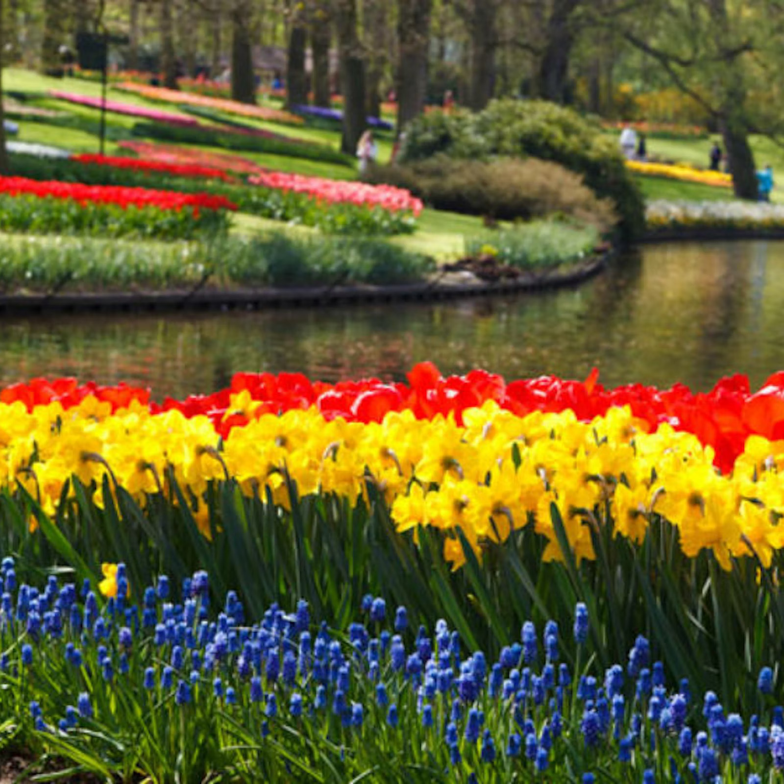 库肯霍夫门票（含阿姆斯特丹往返班车） - KKday