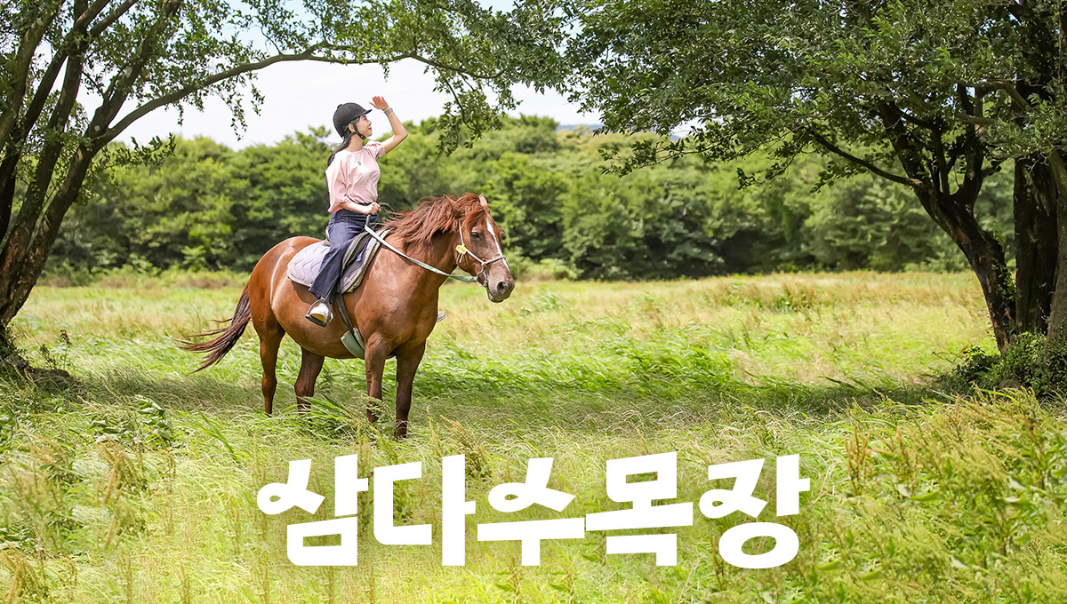 samdasoo-ranch-horseback-riding-experience-jeju-island-south-korea