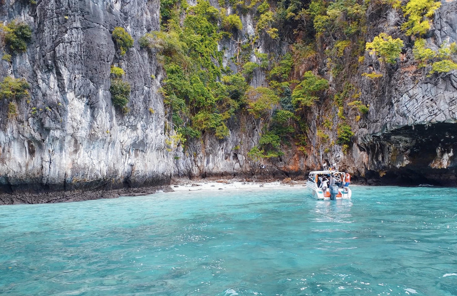 ピピ島のオプショナルツアー 現地ツアーを比較 格安予約 トラベルコ