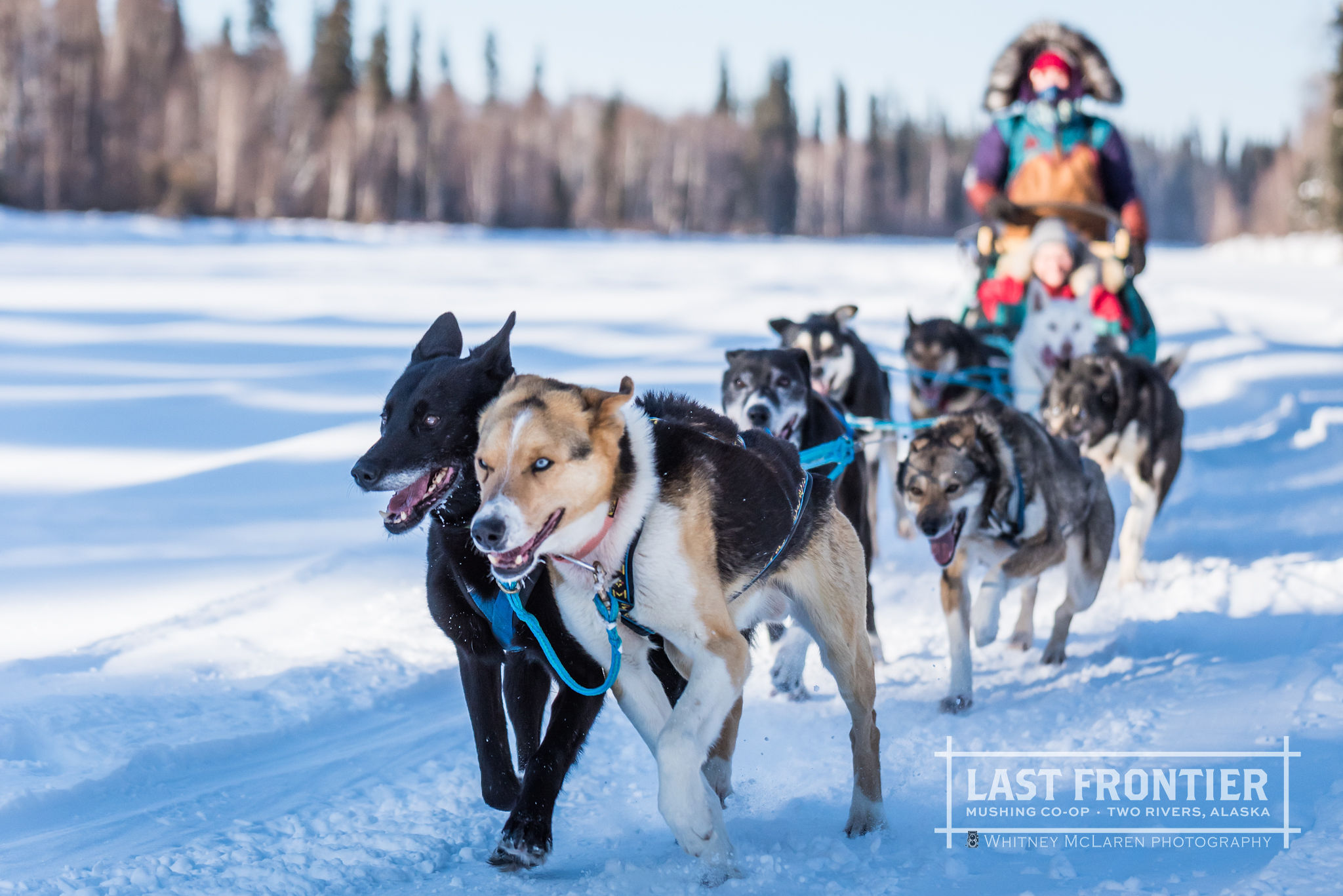 アンカレッジのオプショナルツアー 現地ツアーを比較 格安予約 トラベルコ