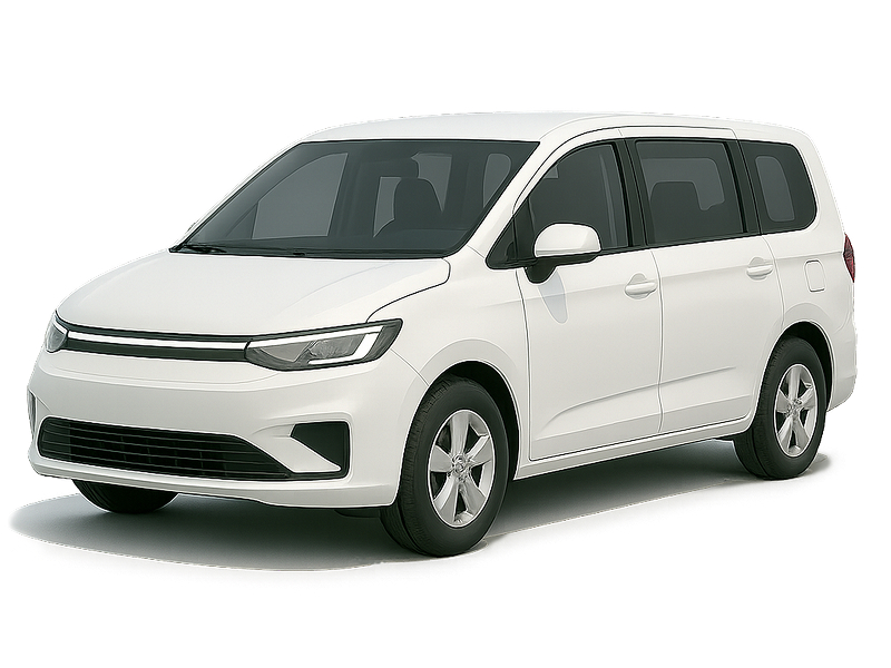 Xe 7 chỗ phổ thông, Kia Carnival hoặc xe tương tự