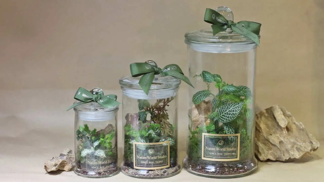 Taipei Wanhua | Plant eco-bottle/water cycle secrets + eco-bottle DIY | Planting experience | One person only