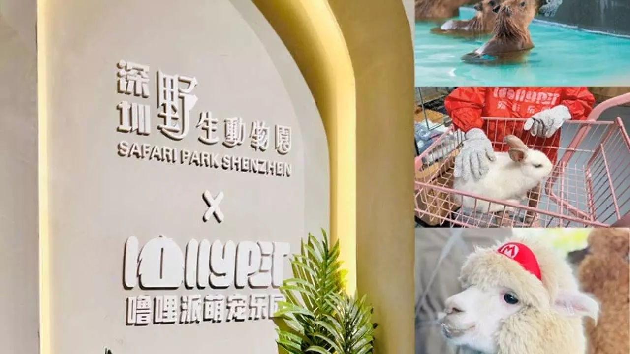 【中國】深圳野生動物園 X Lollypet萌寵樂園全日玩門票