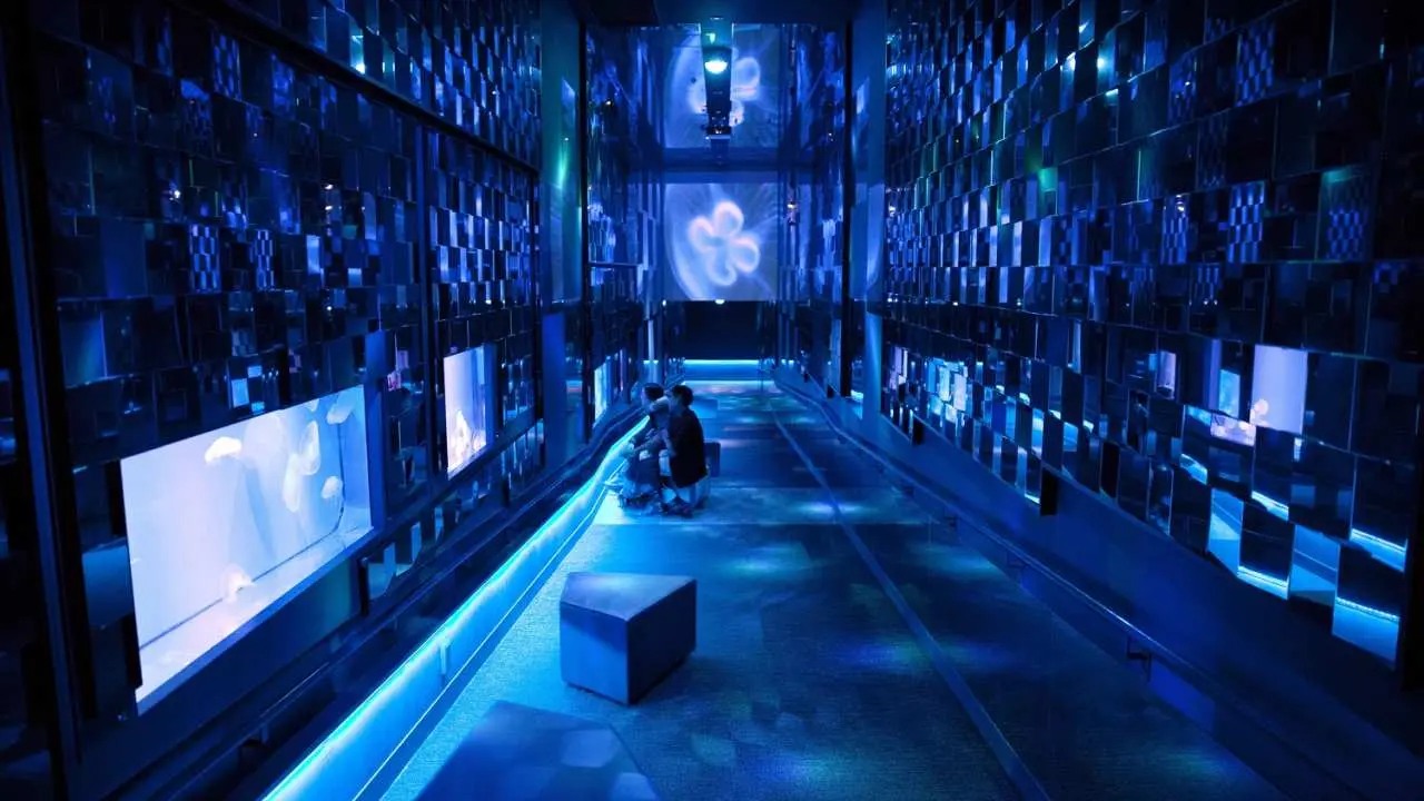 Sumida Aquarium ticket reservation (Sumida-ku, Tokyo indoor attraction)