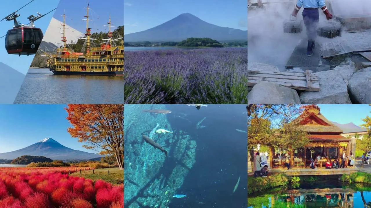 【富士山箱根打卡一日遊】海盜船&大湧谷往返纜車&大石公園&忍野八海 (東京出發)