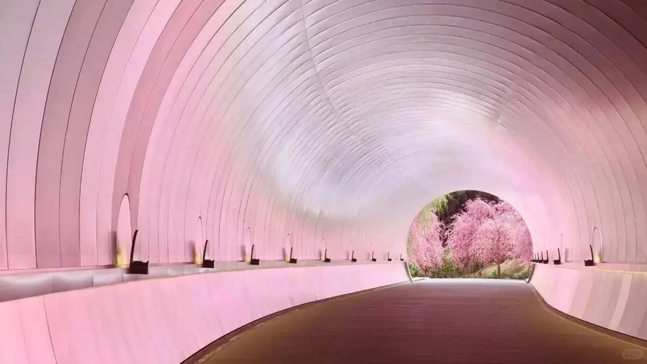 Japan・Osaka/Kyoto Departure | Miho Lake Biwa Water Torii One-Day Tour | Miho Museum + Omihachiman・Hachimanbori + Former Bamboo Forest + Lake Biwa・Shirahige Shrine・Water Torii | Chinese-speaking tour guide