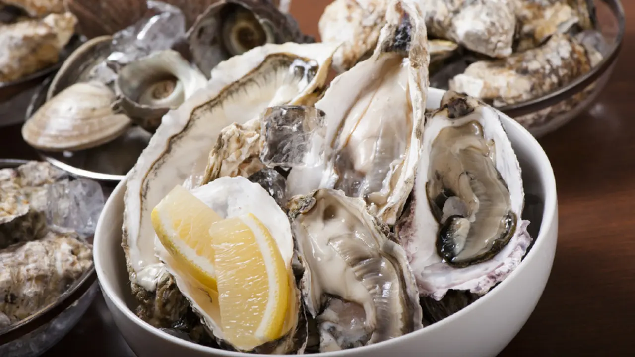 Tokyo Hiking, Mukojima, Oshiage area | Family restaurant Kaki Ichiba (Oyster Market and Ukiyosu Kaitsu Li Ekimae branch) | Seat reservation only
