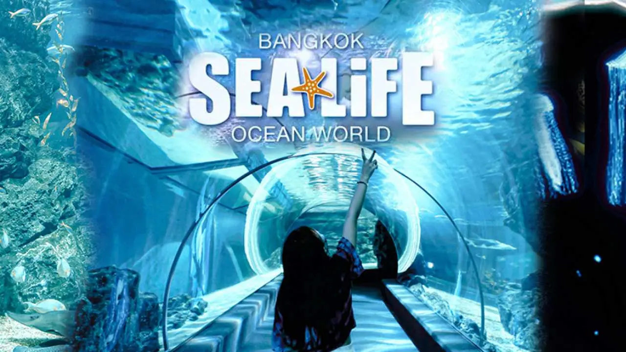【Thailand】Bangkok | Sea Life Siam Ocean World and Madame Tussauds Tickets