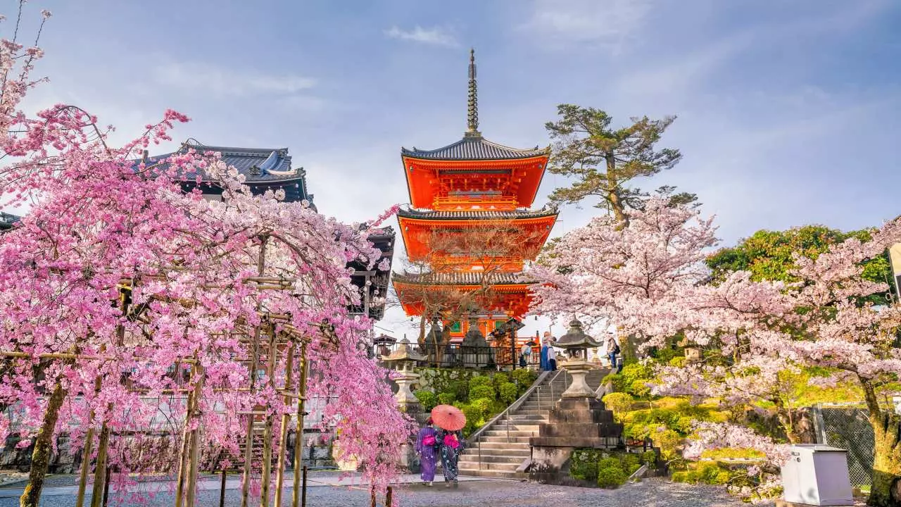 【1人成團】京都一日遊| 嵐山&清水寺&伏見稻荷大社&金閣寺|大阪京都出發