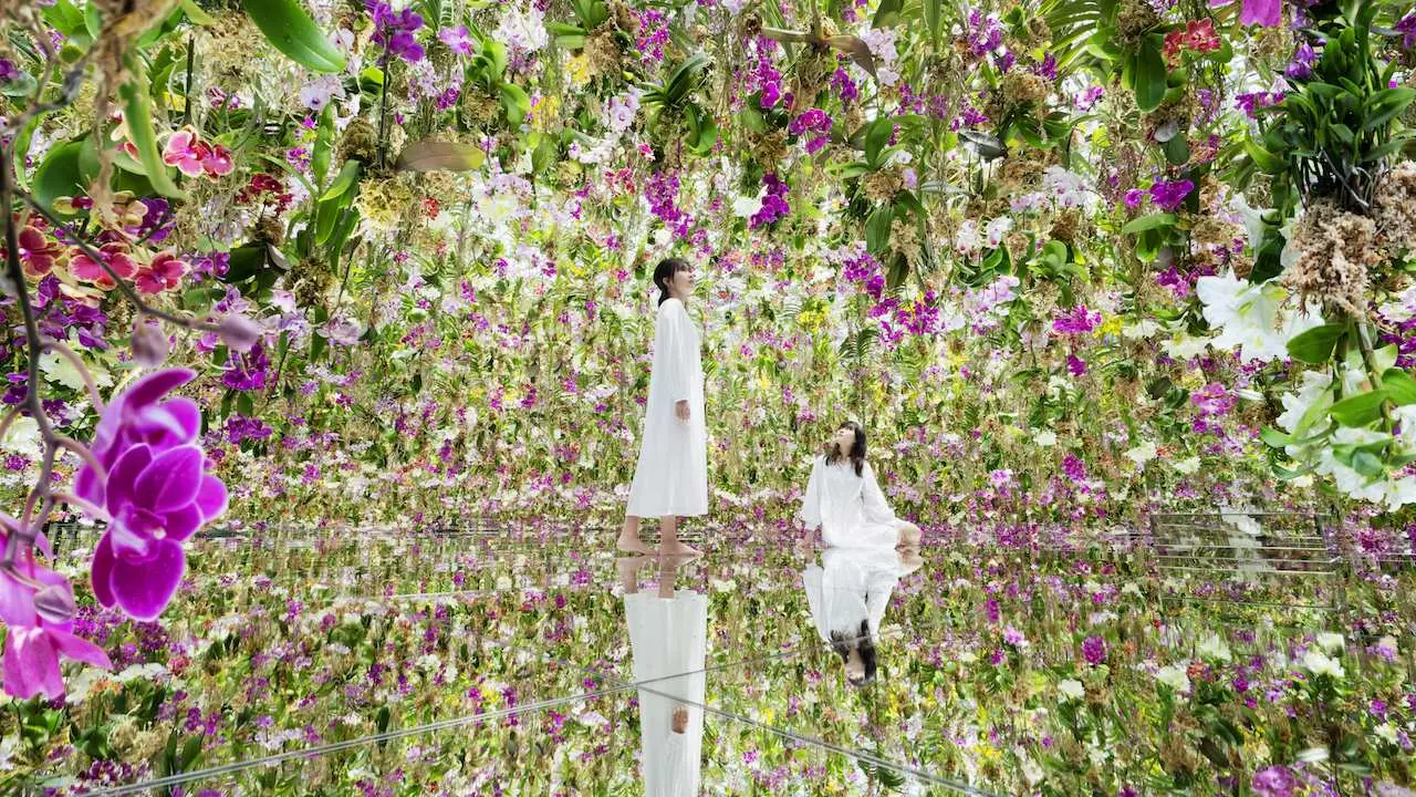 Tokyo, Japan | Toyosu New Art Museum Ticket teamLab Planets TOKYO
