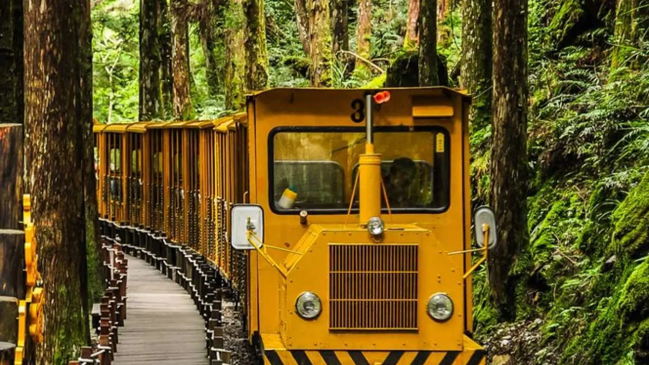 [Alpine Summer Resort Project/Free Upgraded Mercedes-Benz Car] Yilan Taiping Mountain One-day Tour | Cuifeng Lake, Jianqing Nostalgia Trail, Taiping Mountain Villa, Jiuzhize Hot Spring | Departing from Taipei | Get a free eSIM when you place an order
