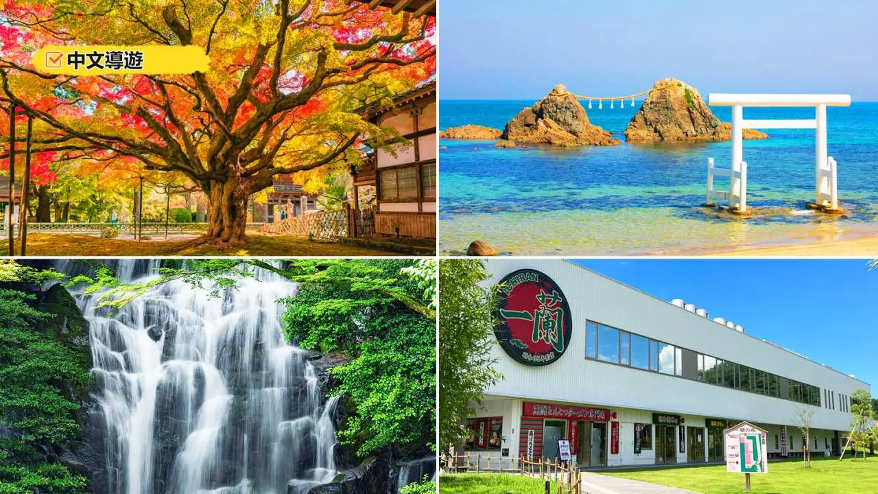 【日本】九州糸島一日遊|糸島祕境—白絲瀑布—千如寺—一蘭之森—龍貓森林步道—芥屋大門—夫婦岩—福岡塔|福岡出發 (2人成團)