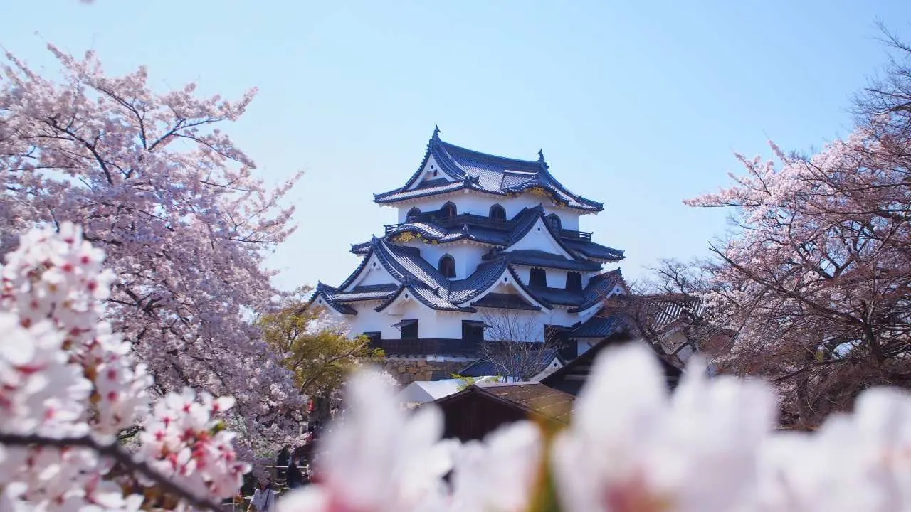 One-day trip to Nara and Shiga, Japan | Visit Lake Biwa with different aspects in four seasons & Omi Hachiman’s famous Baumkuchen shop & tourist attractions Nara Todaiji Temple & Nara Park Tour | Depart from Osaka