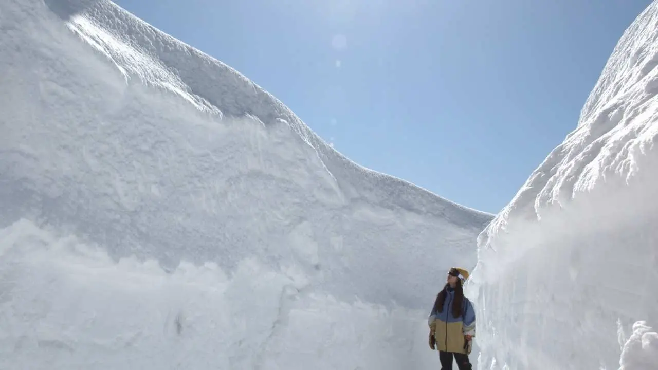 【期間限定!】白馬栂池浪漫雪牆&信州春季2大賞櫻名所<松本城、上田城>&新倉山淺間公園&本町商店街&輕井澤&草莓採摘吃到飽|新宿出發2日遊
