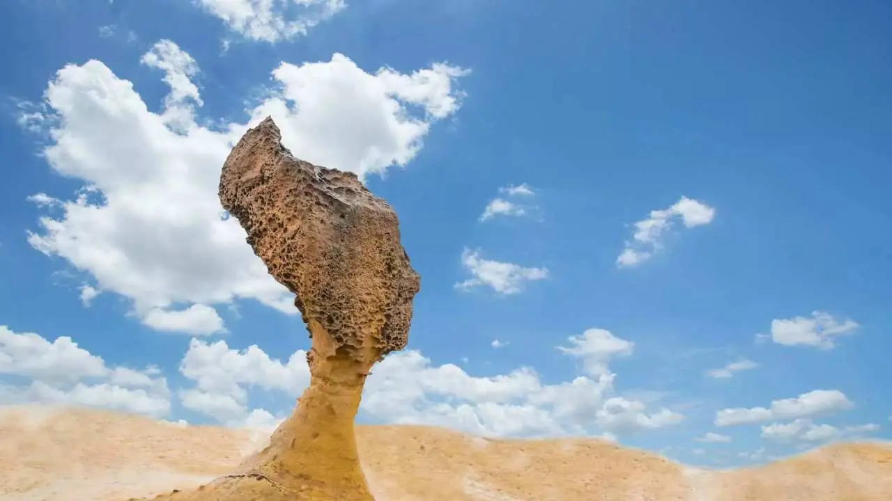 New Taipei Wanli | Yehliu Geopark Tickets