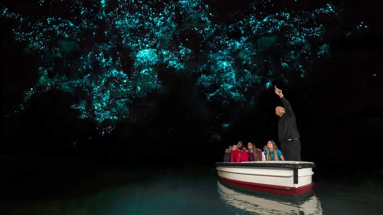 Waitomo Blue Light Glowworm Caves Guided Tour, New Zealand