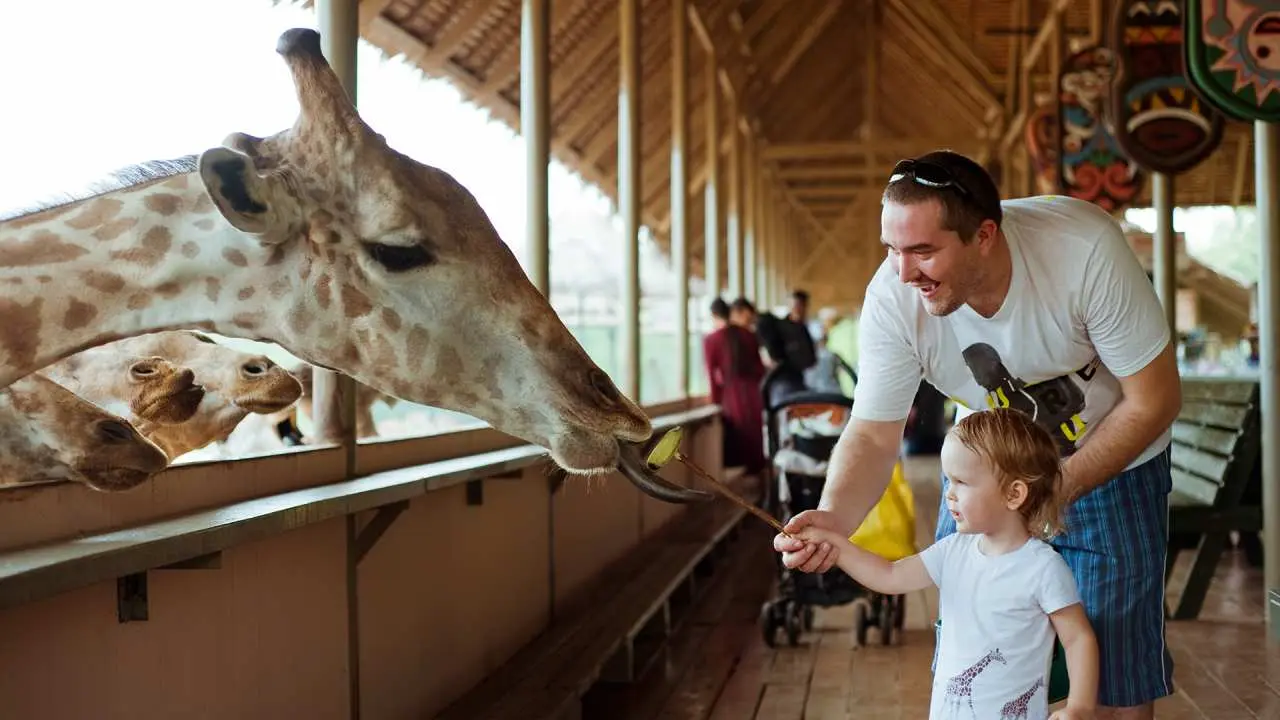 Thailand | Safari World Bangkok Tickets