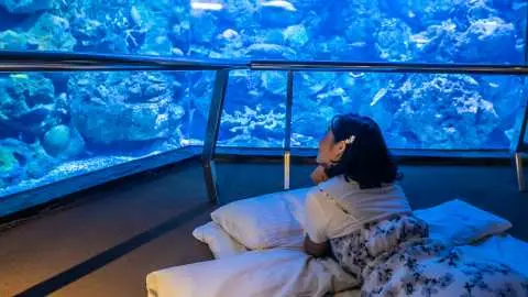 台灣墾丁 旅遊必備在地行程體驗 景點樂園門票 交通上網票卡 Kkday