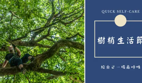 Taipei, Taiwan | Treetop Life Festival, Yangmingshan Tree Climbing Experience | Give yourself a breath of forest