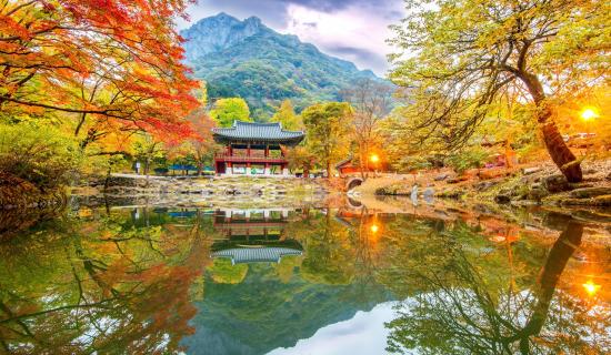 Mùa thu Hàn Quốc núi Naejangsan