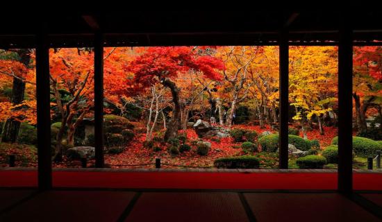 Kansai du lịch mùa thu Nhật Bản