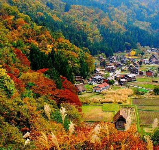 Mùa thu vùng Chubu Nhật Bản