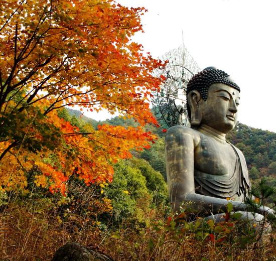 Mùa thu Hàn Quốc núi Seoraksan