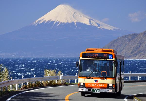 시즈오카 이즈 | 도카이 버스 전 노선 프리 패스 2일 & 3일권