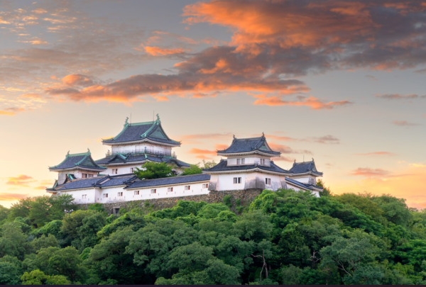 [ออกเดินทางหรือกลับจากเมืองโอซาก้า] ทัวร์ รถยนต์เช่าเหมาส่วนตัว เช่าวากายามะ | เลือกสถานที่ท่องเที่ยวได้มากถึง 5 แห่ง | ตลาดคุโรชิโอะ สถานีคิชิ ฯลฯ | เกียวโต/โกเบ/นารา สามารถผสมผสานกันได้