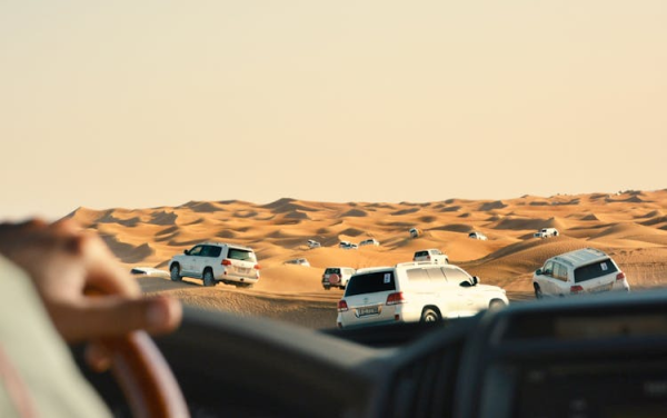 Three in one in Dubai: city tour dhow cruise and desert safari
