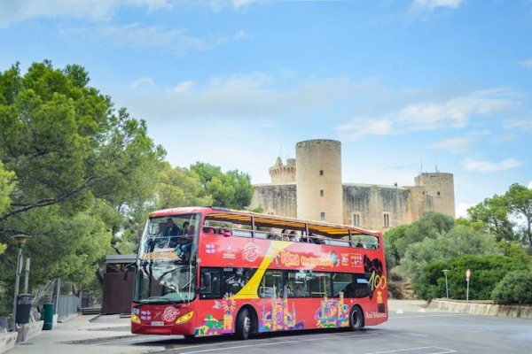 Palma de Mallorca hop-on hop-off bus and boat tour with combo option