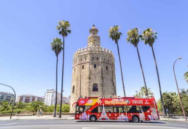 Seville hop-on hop-off bus tour: 24hr and 48hr