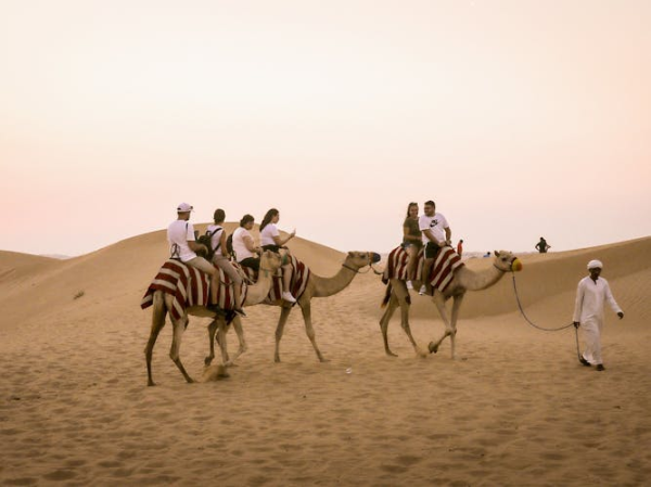 Abu Dhabi desert safari with BBQ camel ride and sandboarding