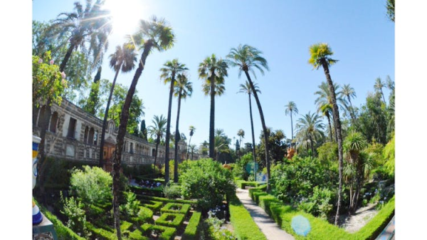 Alcázar of Seville skip-the-line tickets and guided tour