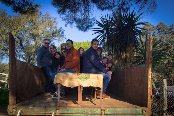 Bull-breeding farm guided half-day tour from Seville