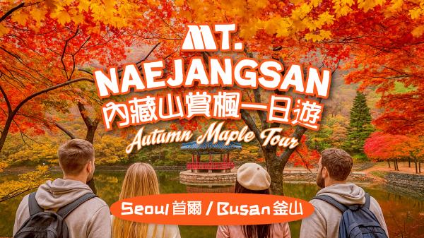 Tour ngắm lá mùa thu tại Vườn quốc gia Naejangsan trong ngày (Khởi hành từ Seoul, Busan) | Hàn Quốc