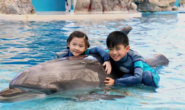 【KKday推薦】台灣花蓮 | 遠雄海洋公園親親海豚/海獅/美人魚體驗(含入園門票)