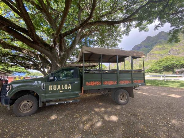 夏威夷歐胡島 | 古蘭尼牧場吉普車叢林探險單項體驗 | Kualoa Ranch Jungle Jeep Expedition Tour
